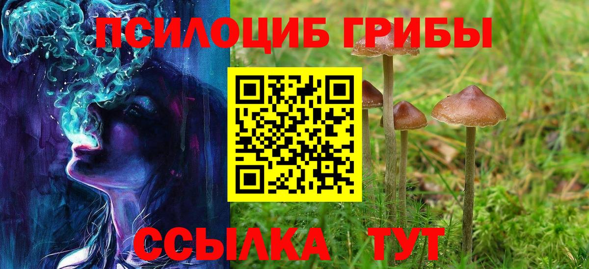 хочу наркоту  Вход с VPN  Коммунар  Псилоцибиновые грибы GOLDEN TEACHER 