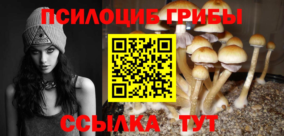 Галлюциногенные грибы Magic Shrooms Коммунар